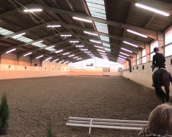 Dressur Late-Entry Datteln 2016