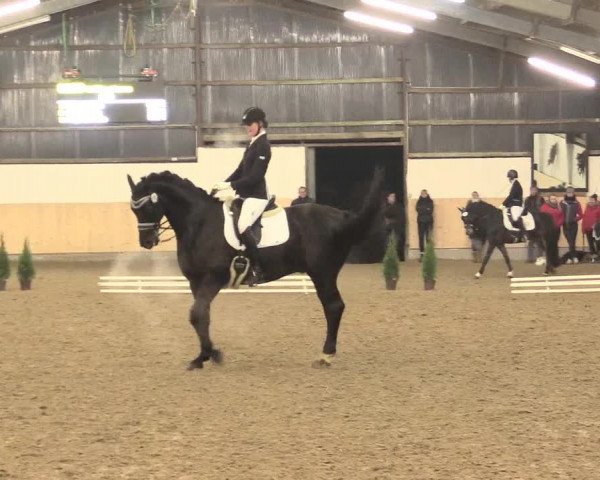 Dressur Late-Entry Datteln 2016