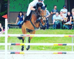 jumper Goa (KWPN (Royal Dutch Sporthorse), 2011, from Nabab de Rêve)