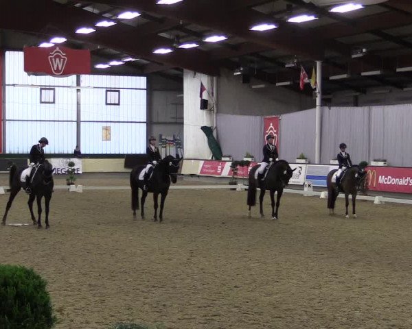 Hallen-Reitturnier Münster-Handorf 2016