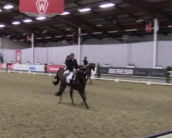 Hallen-Reitturnier Münster-Handorf 2016