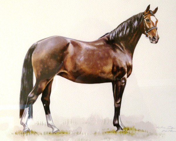 broodmare Graeva (Hanoverian, 1998, from Graf Top)