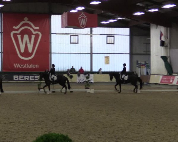 Hallen-Reitturnier Münster-Handorf 2016