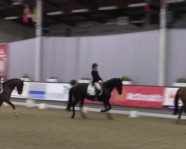 Hallen-Reitturnier Münster-Handorf 2016