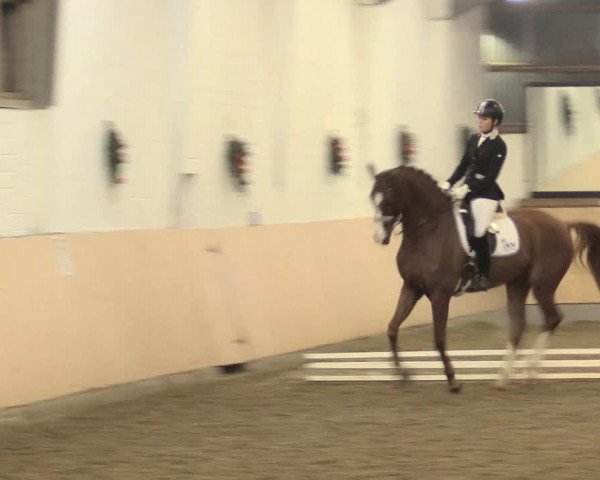 Dressur Late-Entry Datteln 2016