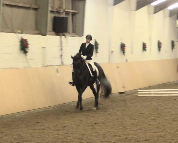 Dressur Late-Entry Datteln 2016