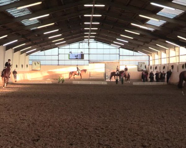Dressur Late-Entry Datteln 2016