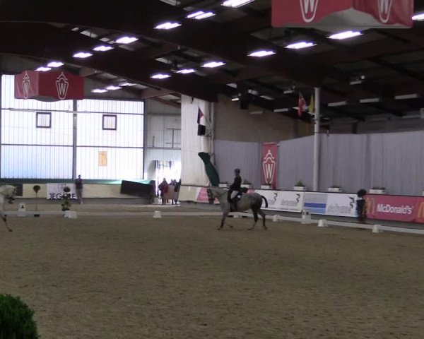 Hallen-Reitturnier Münster-Handorf 2016