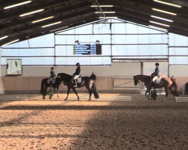Dressur Late-Entry Datteln 2016