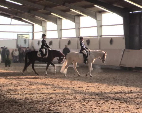 Dressur Late-Entry Datteln 2016