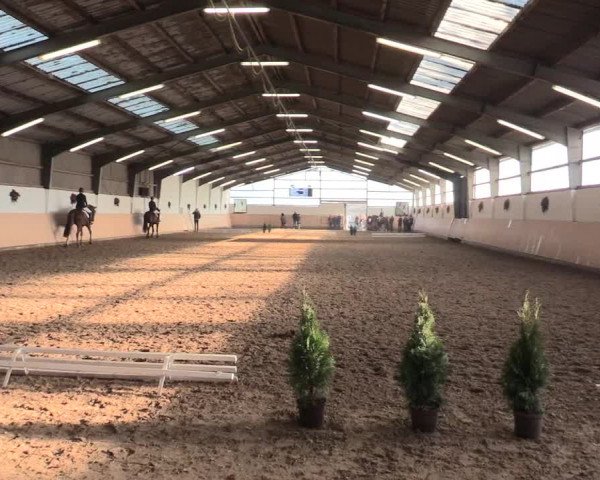 Dressur Late-Entry Datteln 2016