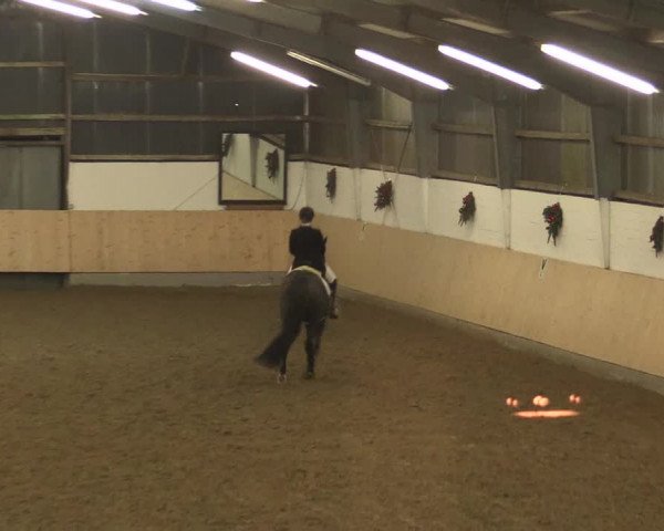 Dressur Late-Entry Datteln 2016