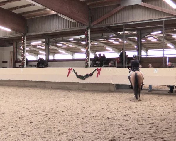 Dressur Late Entry Alt-Marl 2016