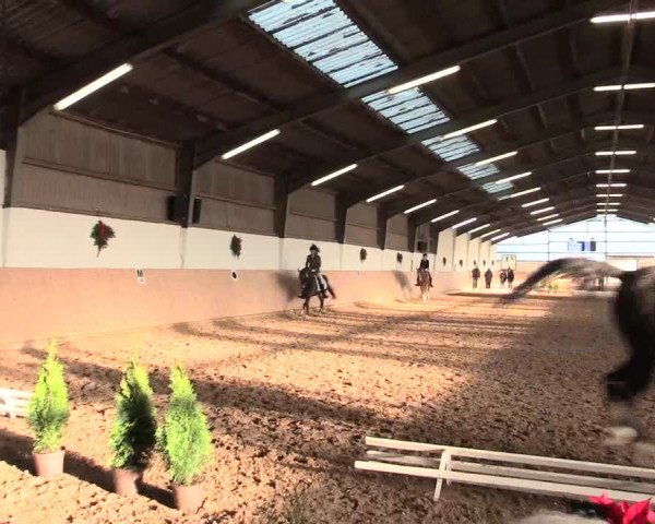 Dressur Late-Entry Datteln 2016