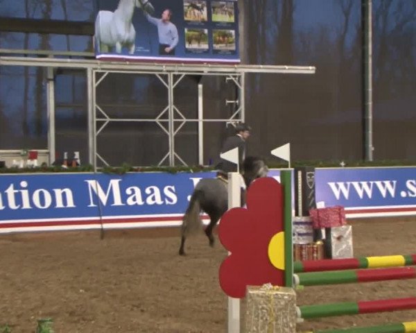 Reitturnier Wendorf 2016