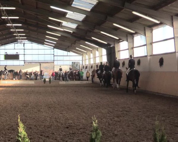 Dressur Late-Entry Datteln 2016