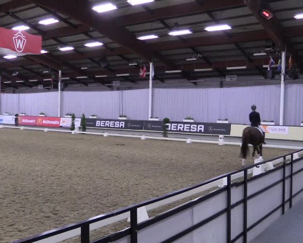 Hallen-Reitturnier Münster-Handorf 2016