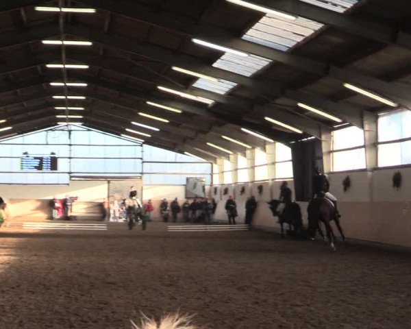 Dressur Late-Entry Datteln 2016
