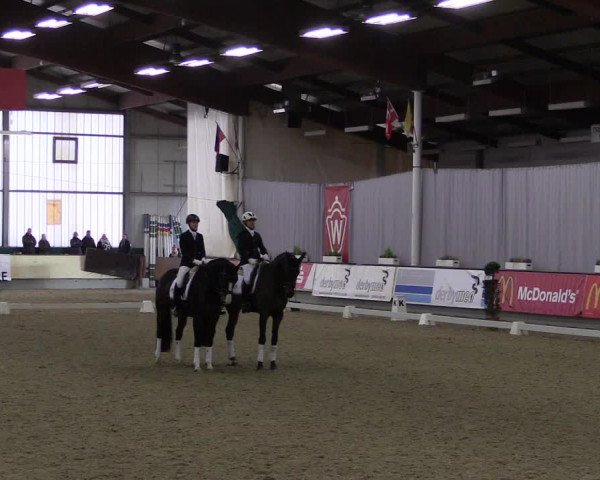 Hallen-Reitturnier Münster-Handorf 2016