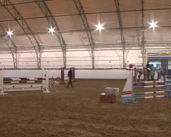 Reitturnier Wendorf 2016