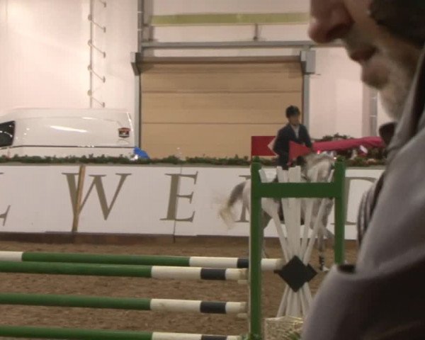 Reitturnier Wendorf 2016