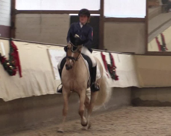Dressur Late Entry Alt-Marl 2016
