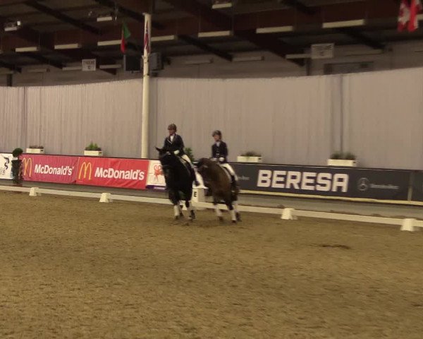 Hallen-Reitturnier Münster-Handorf 2016