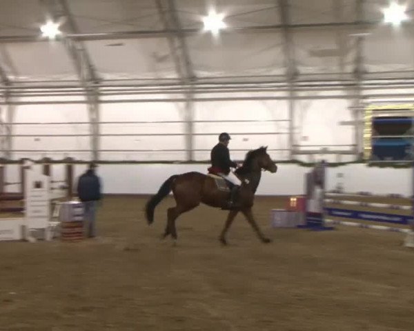 Reitturnier Wendorf 2016