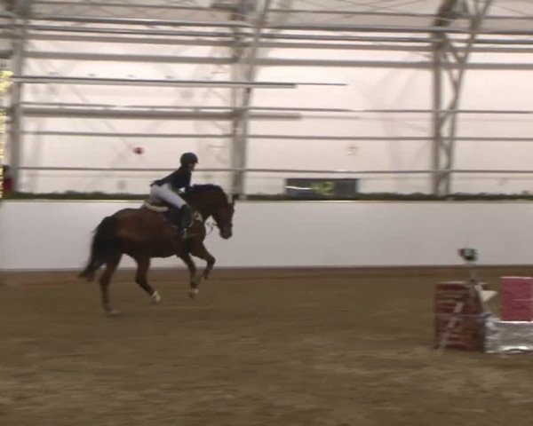 Reitturnier Wendorf 2016
