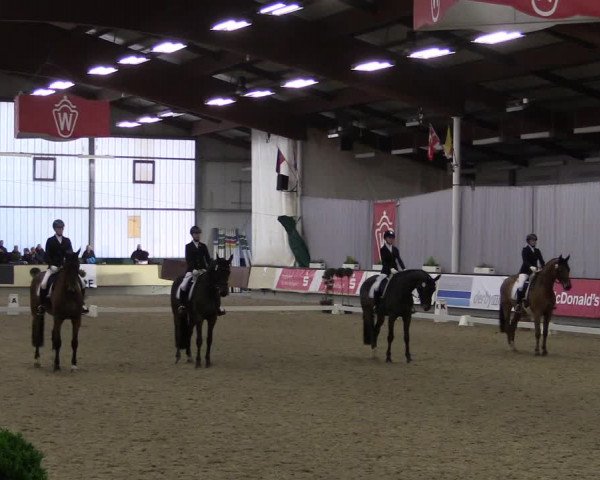 Hallen-Reitturnier Münster-Handorf 2016