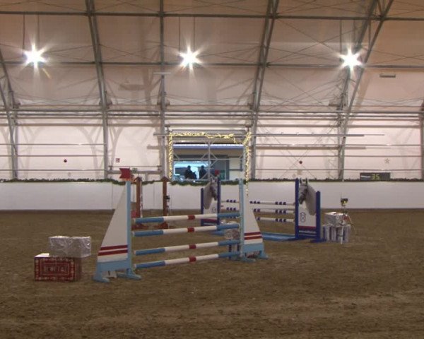 Reitturnier Wendorf 2016