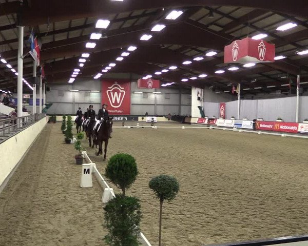 Hallen-Reitturnier Münster-Handorf 2016