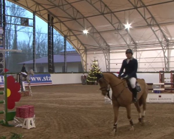 Reitturnier Wendorf 2016