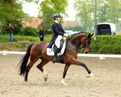 Dressurpferd S Rockyna NRW (Westfale, 2013, von Sir Donnerhall I)