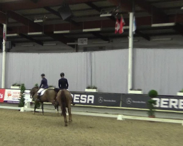 Hallen-Reitturnier Münster-Handorf 2016
