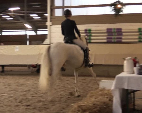 Dressur Late Entry Alt-Marl 2016