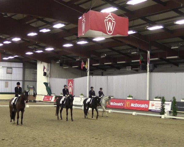 Hallen-Reitturnier Münster-Handorf 2016