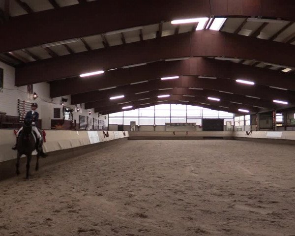 Dressur Late Entry Alt-Marl 2016