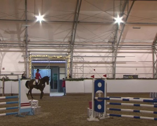 Reitturnier Wendorf 2016