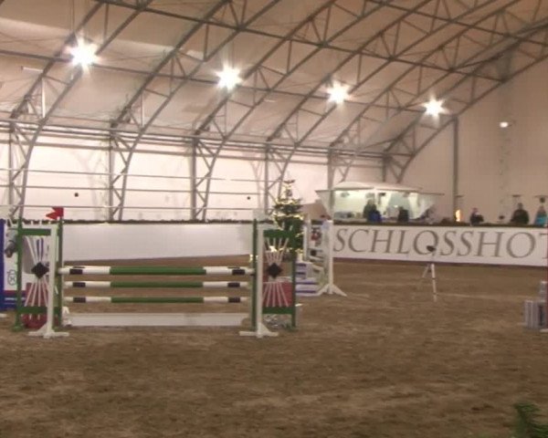 Reitturnier Wendorf 2016
