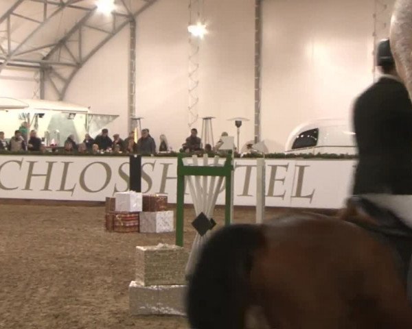Reitturnier Wendorf 2016