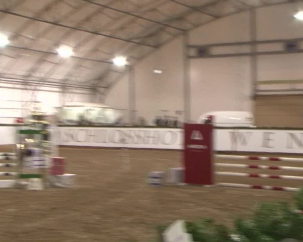 Reitturnier Wendorf 2016