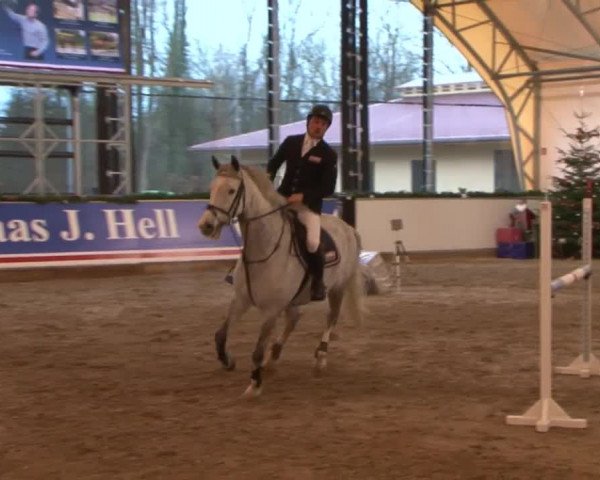 Reitturnier Wendorf 2016