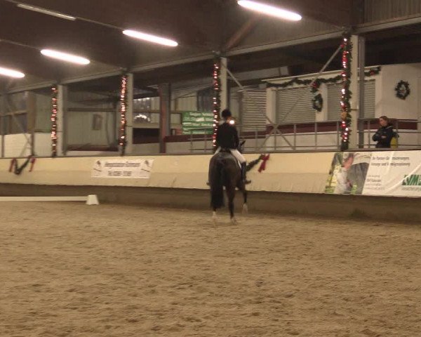 Dressur Late Entry Alt-Marl 2016