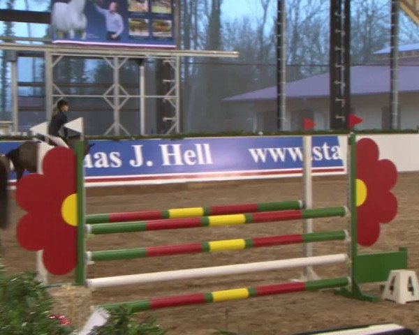 Reitturnier Wendorf 2016