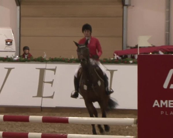 Reitturnier Wendorf 2016
