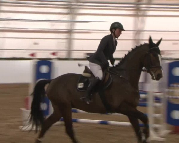 Reitturnier Wendorf 2016