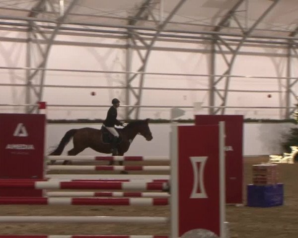 Reitturnier Wendorf 2016