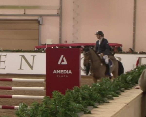 Reitturnier Wendorf 2016