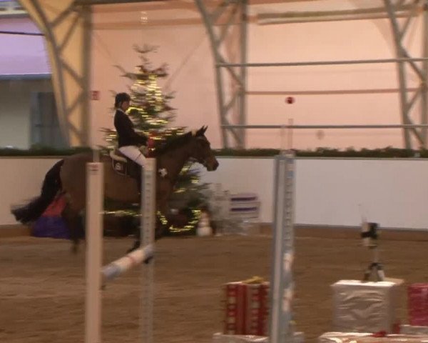 Reitturnier Wendorf 2016